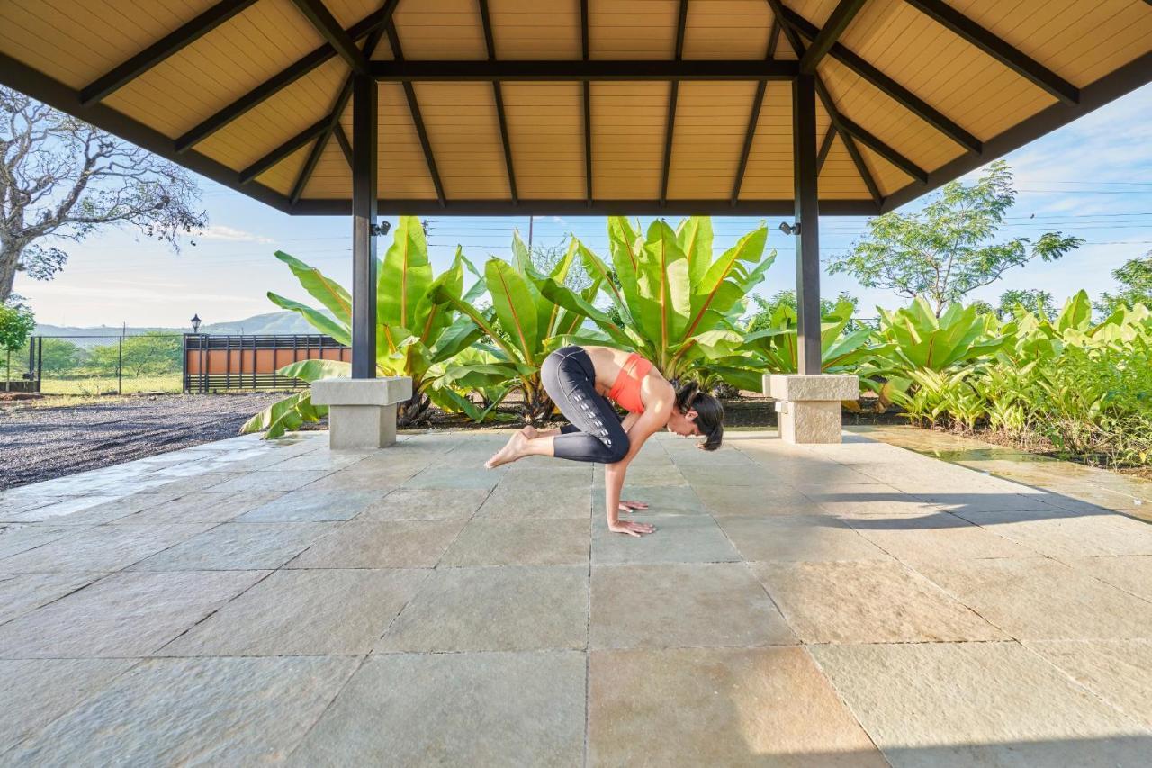 Viveda Wellness Resort Nashik Zewnętrze zdjęcie